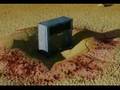 PBX video