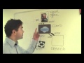 PBX video
