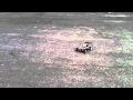 PBX video