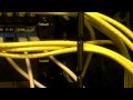 Ethernet video