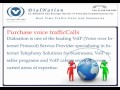 VoIP video