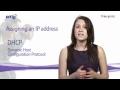 Wireless video