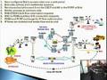 IP Phones video