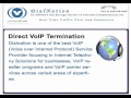 VoIP video