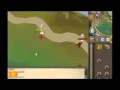 IP Phones video