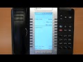 IP Phones video