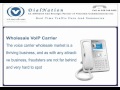VoIP video