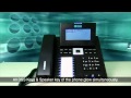 IP Phones video